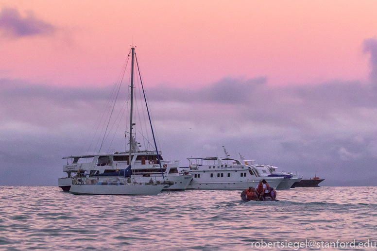 galapagos